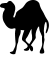 Perl